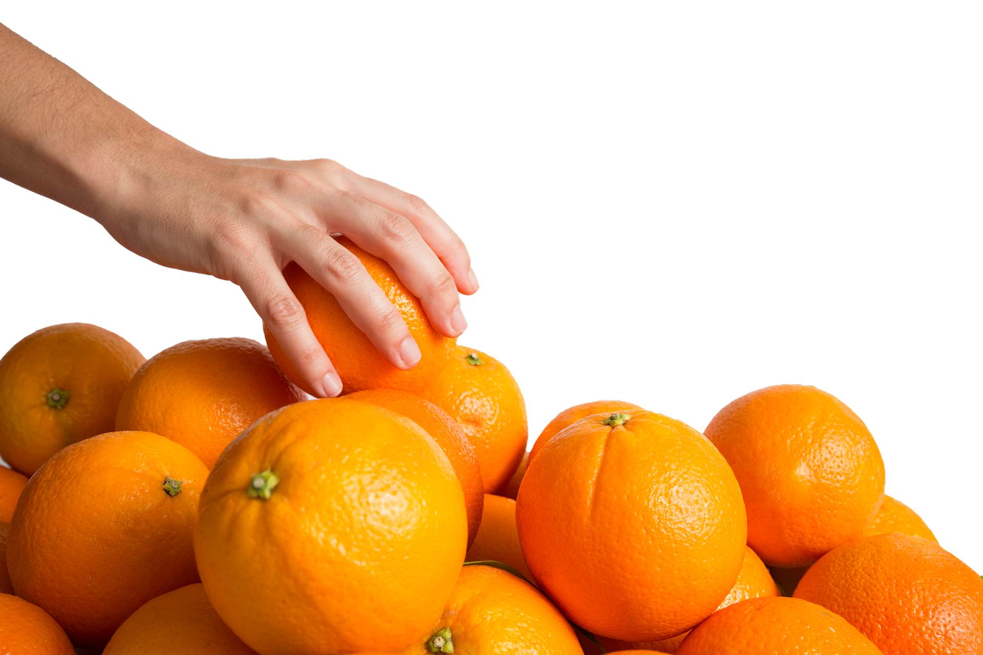 Mano cogiendo una naranja entre muchas